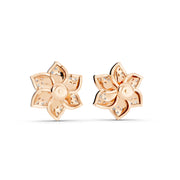 Elara Blossom Sparkle 925 Silver Earrings