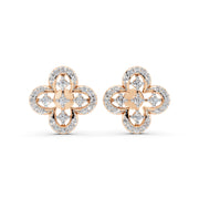 Clover Sparkle 925 Silver Earrings