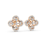 Clover Sparkle 925 Silver Earrings