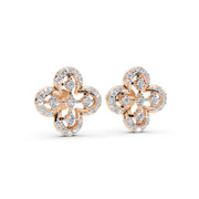 Clover Sparkle 925 Silver Earrings